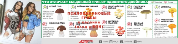 эйфоретик Алзамай