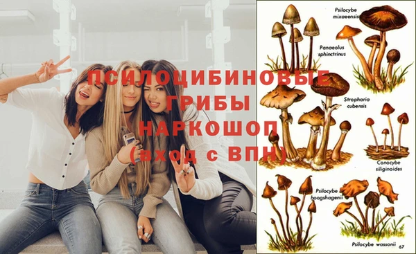 mix Алексин