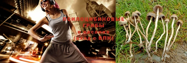 гашик Протвино