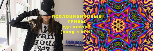 эйфоретик Алзамай