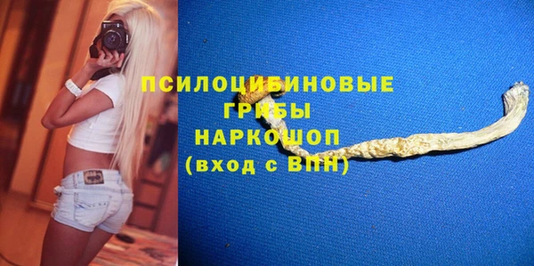 эйфоретик Алзамай